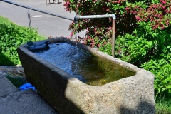 DSC_4888-c