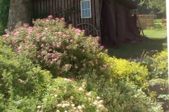IMG_20200720_144022