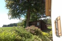 IMG_20200720_144030