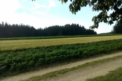 IMG_20200720_181210
